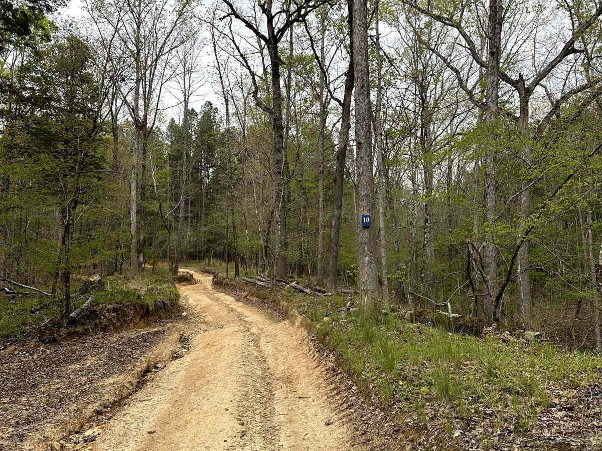 Trail 10 photo 4