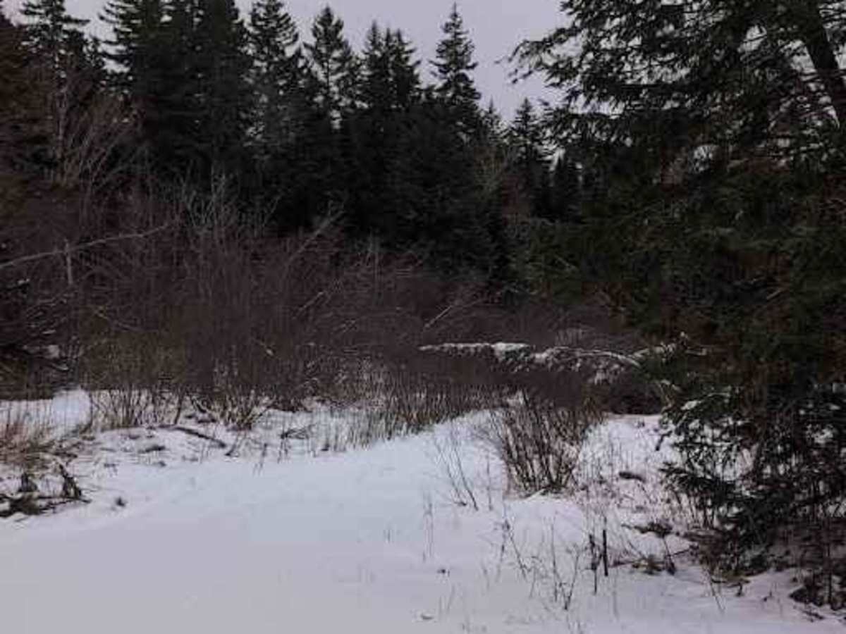 Crow Hill Loop trail photo