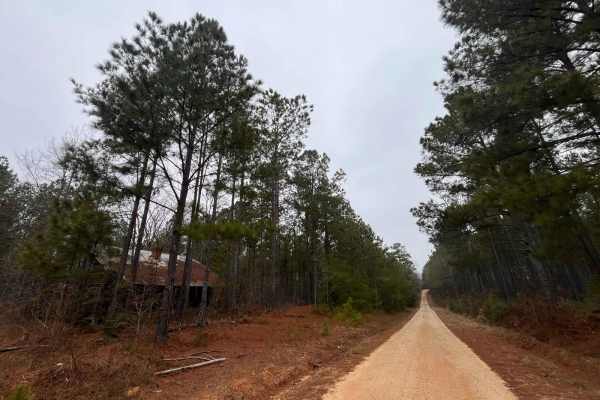 Old Charleston Road
