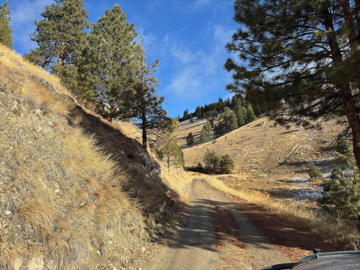 Brennan Creek photo 6