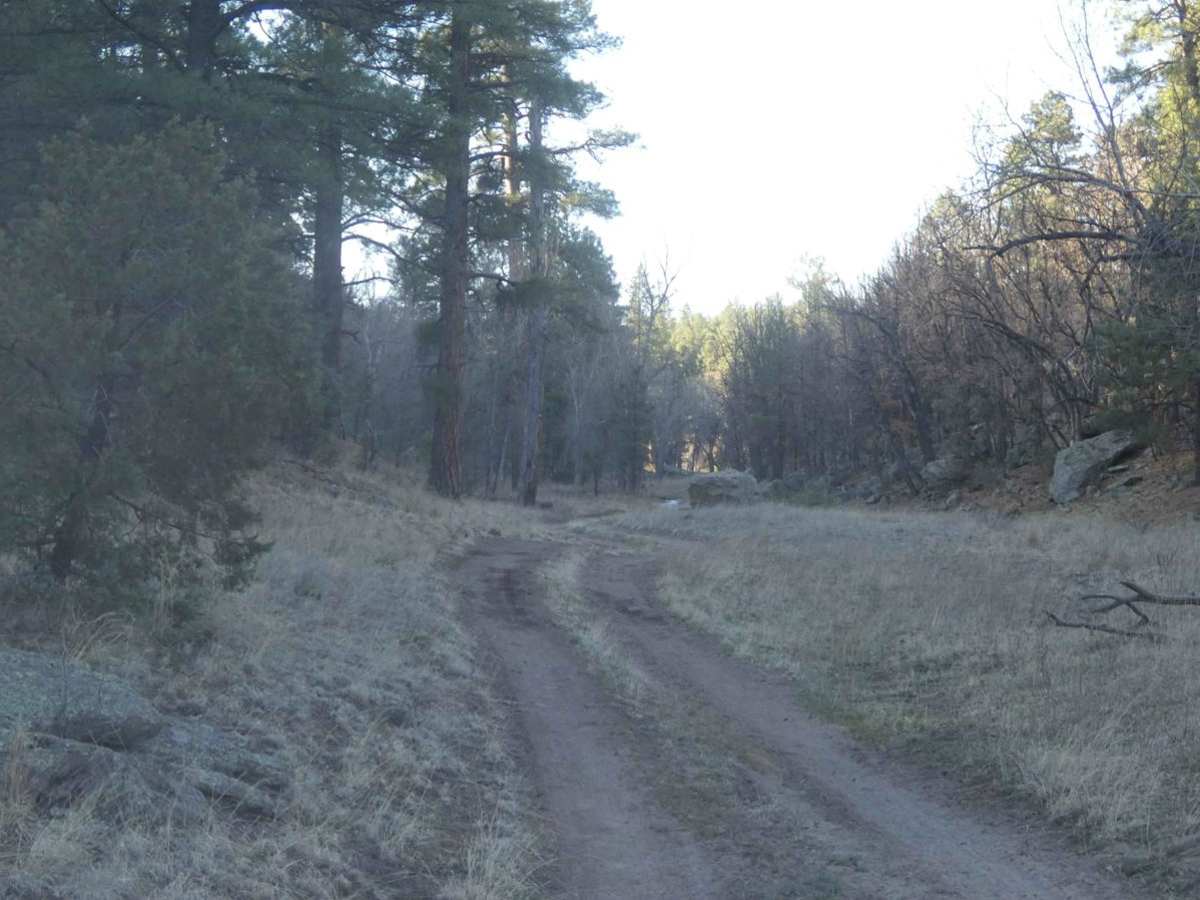 House Mountain Road photo 2