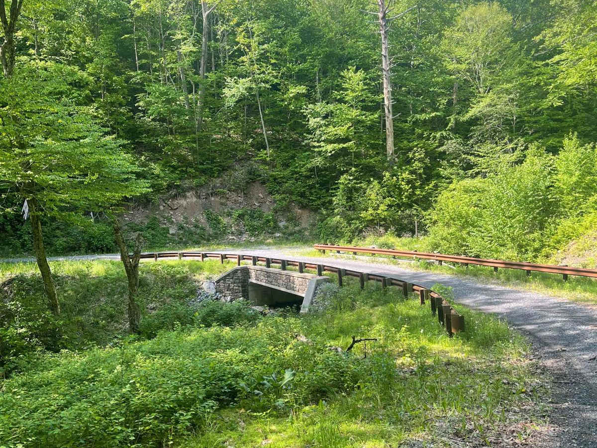 Graham Road photo 2
