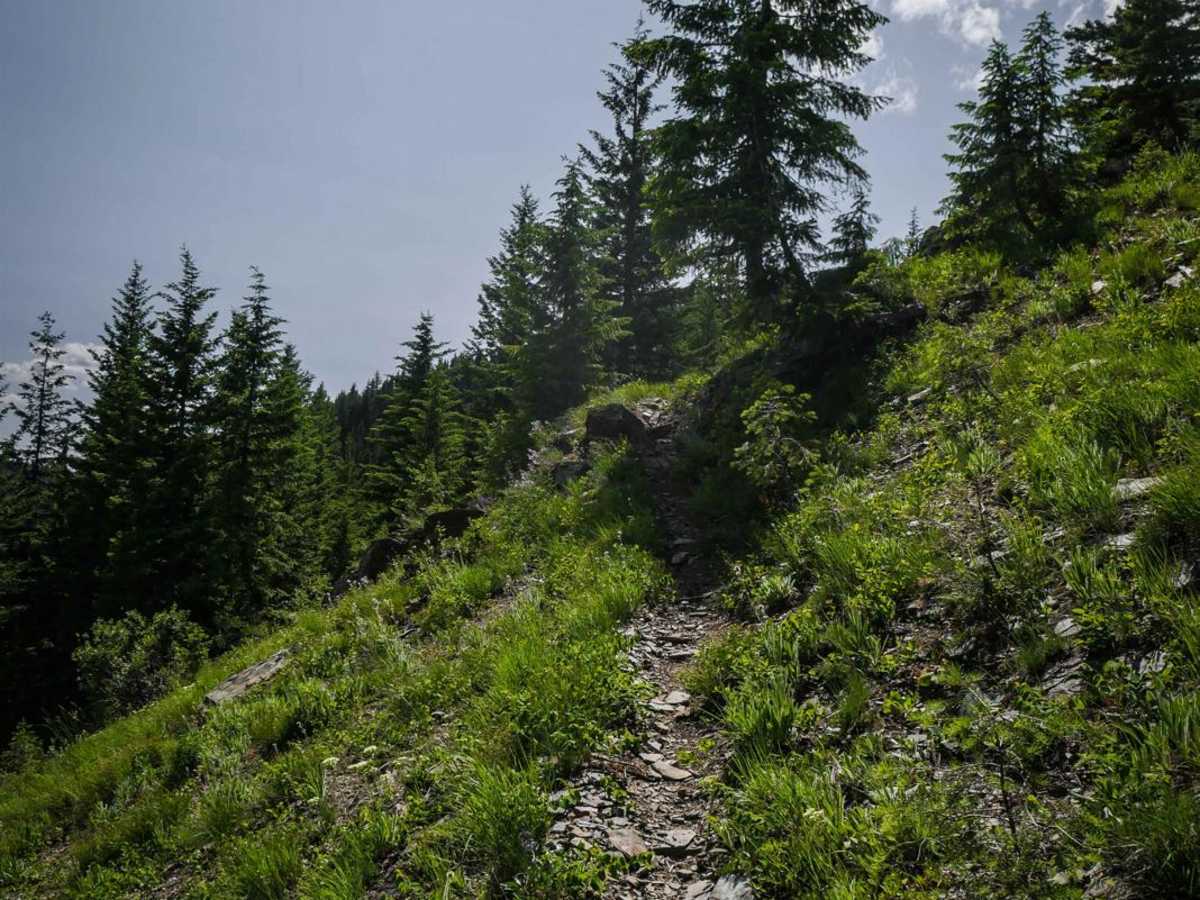 Arid Peak photo 4