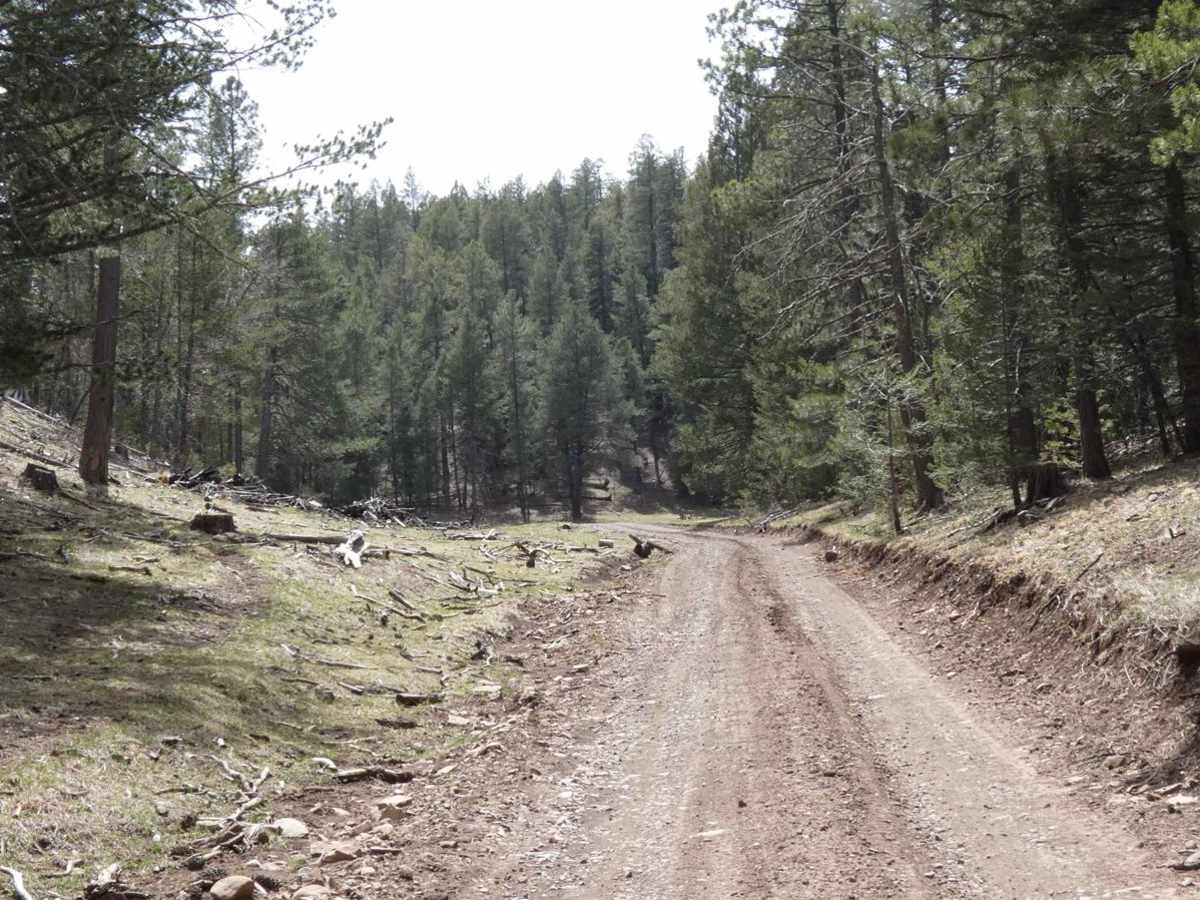 Long Canyon to Board Canyon (FS271) photo 6