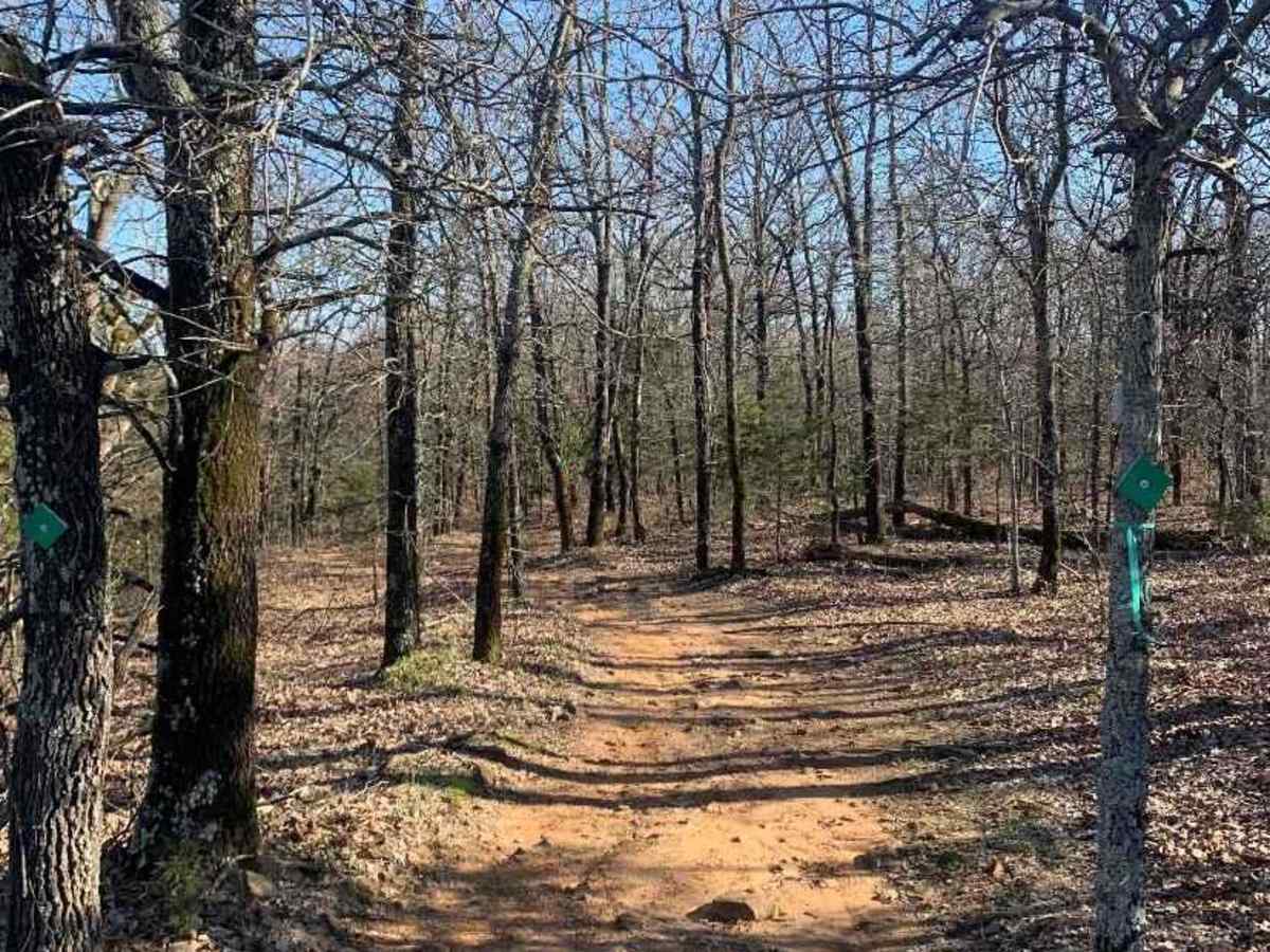 Bunker Hill Loop trail photo