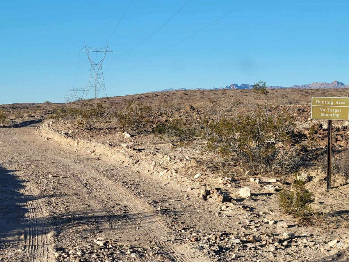 Powerline Road (South) - 2 photo 5