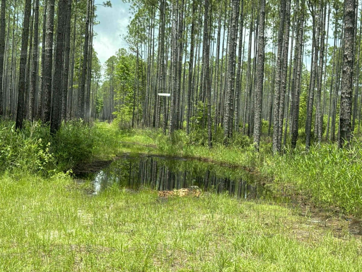 Camp Loop Road photo 6