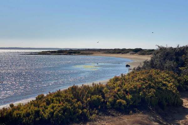 Monte Ceniza Nature Reserve