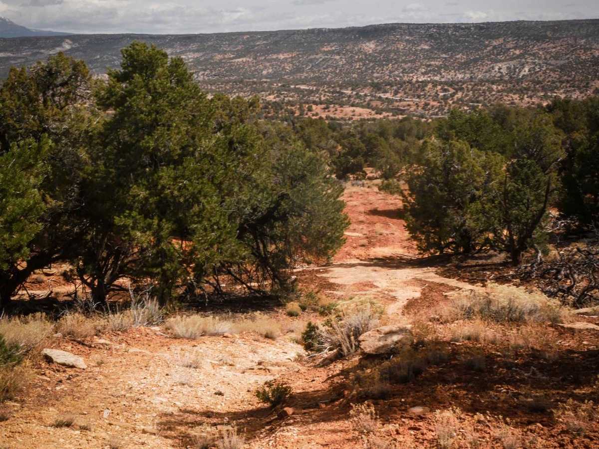 Cottonwood Creek photo 3