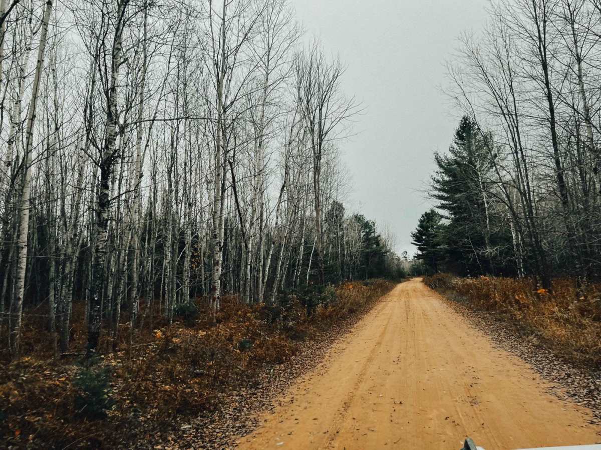 Westman Lake Logging Route photo 4