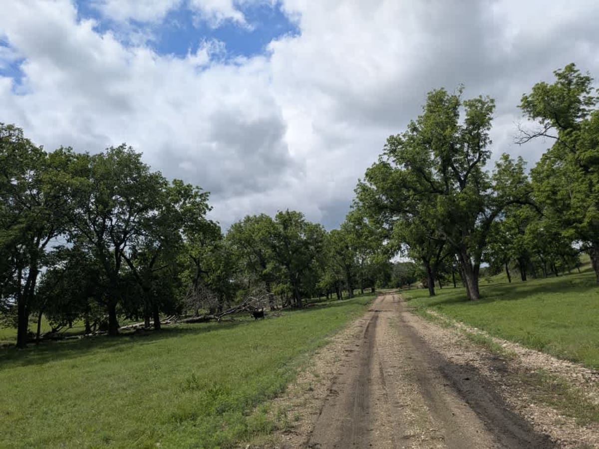 Sharp Creek Road photo 4