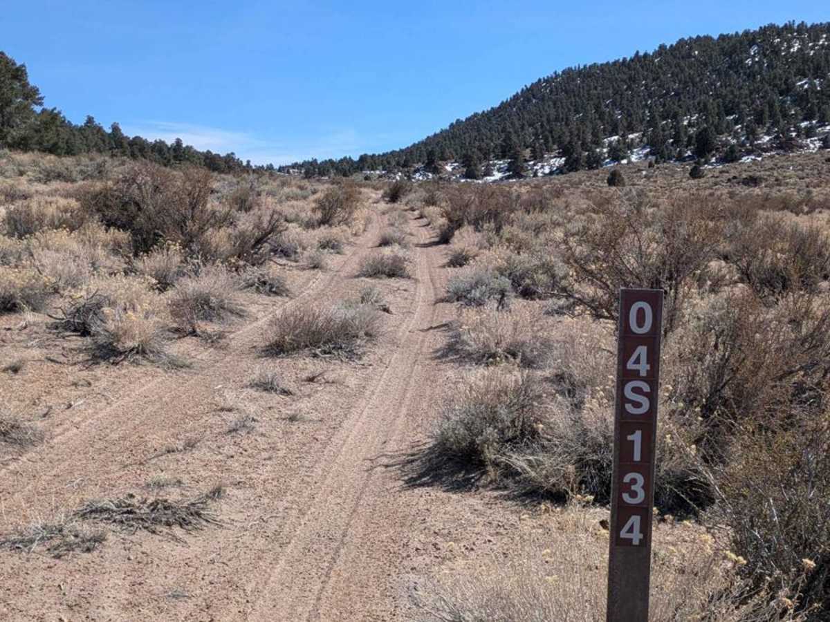 Casa Diablo Mountain FS S134 photo 4