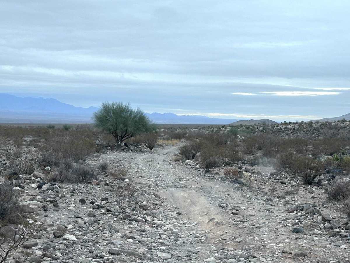 Alkali Spring photo 2