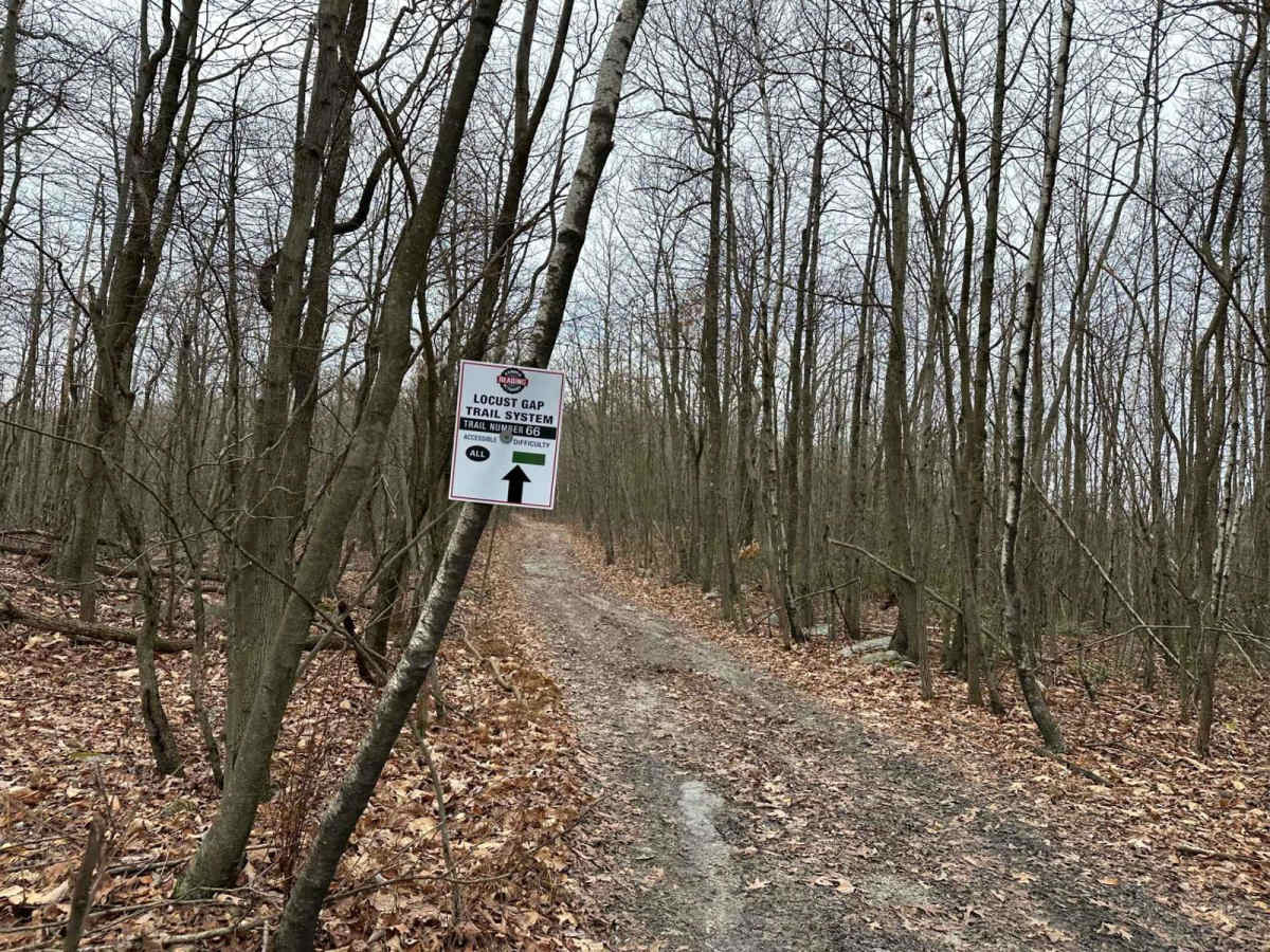 Locust Gap 66 photo 4