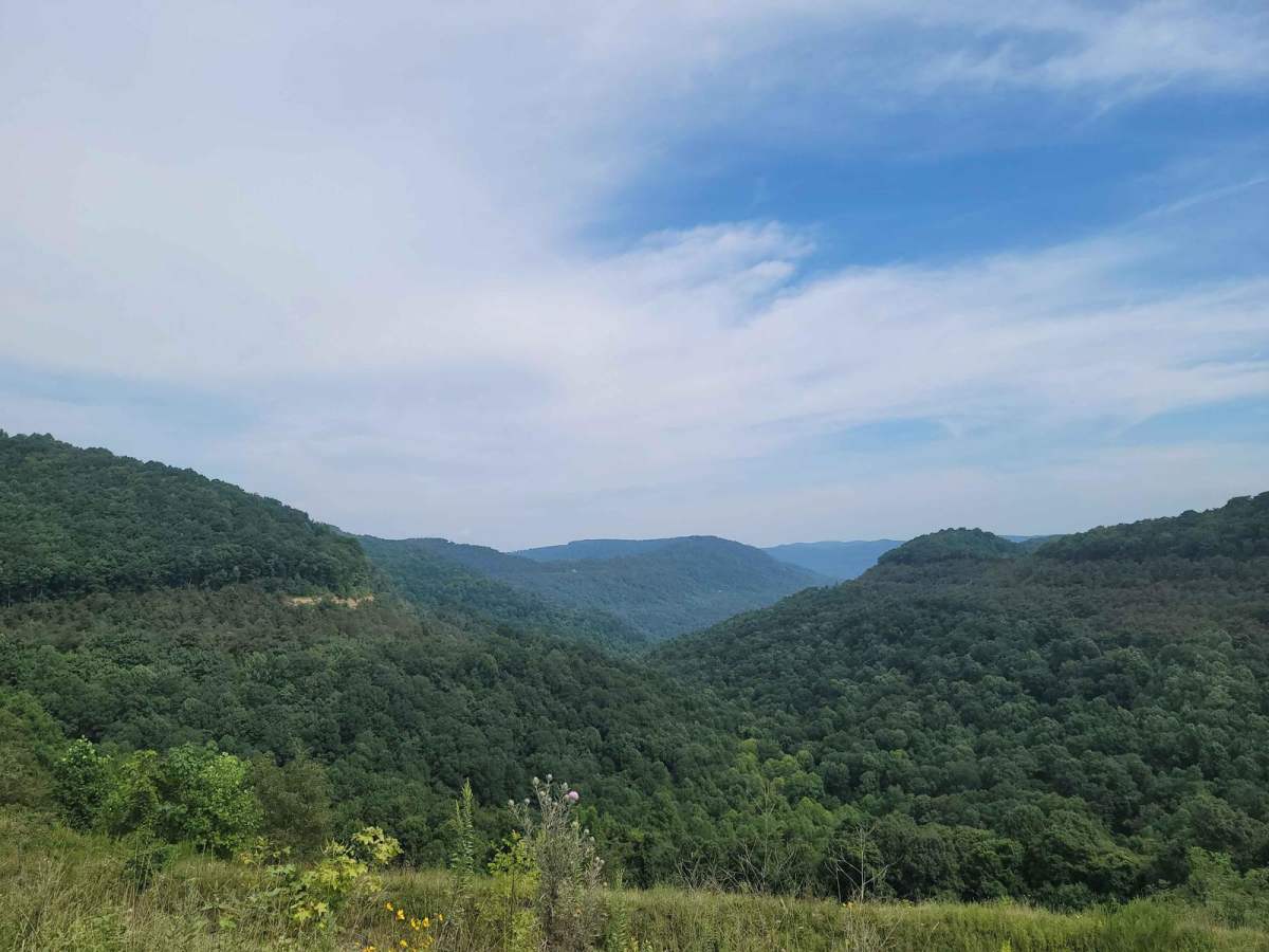 G9 - Peachtree Gap trail photo