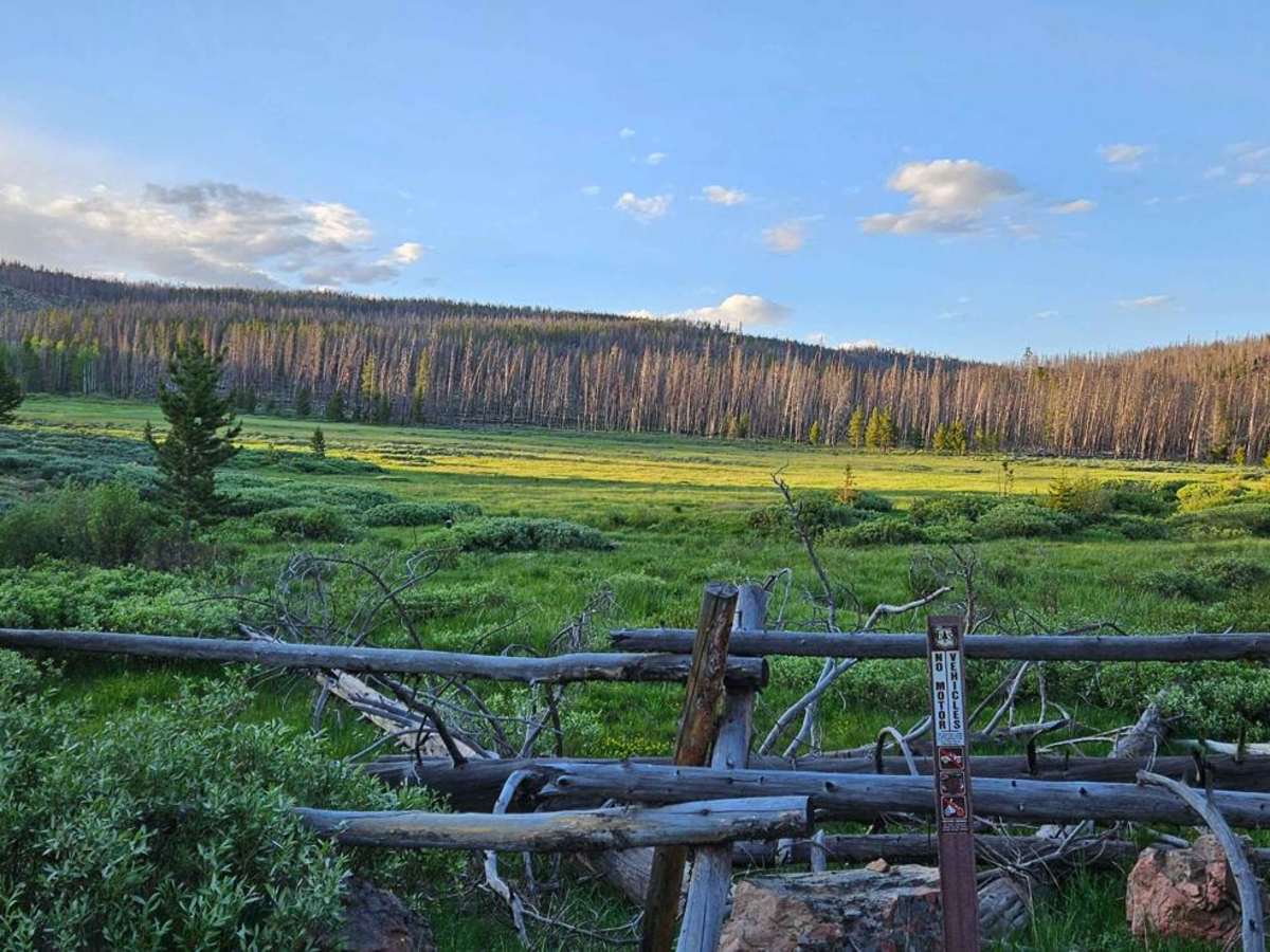 Valley Trail photo 5