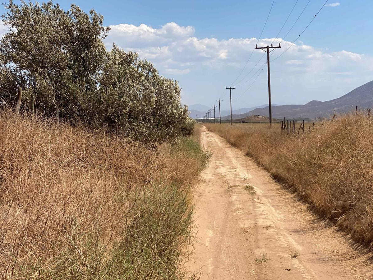 South of Cerro Blanco photo 6