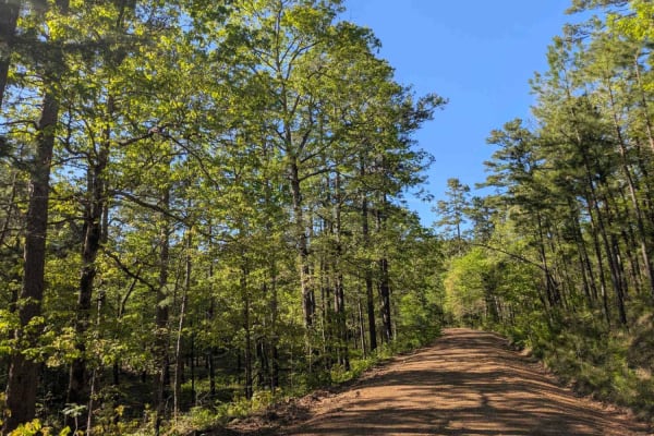 Jones Creek Road