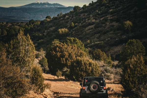 Backway to Williams - Jerome Trail