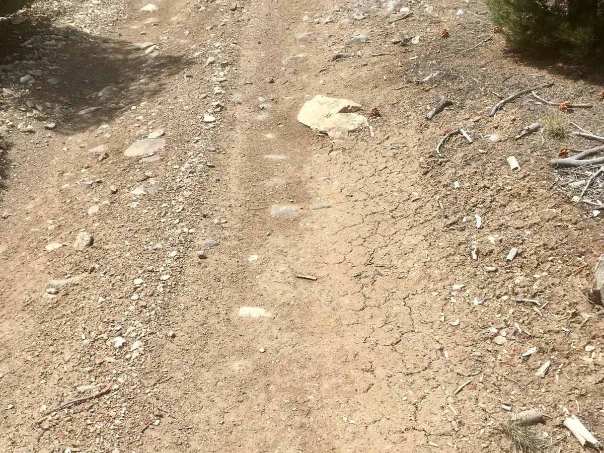 Ice Plant Springs Road photo 4