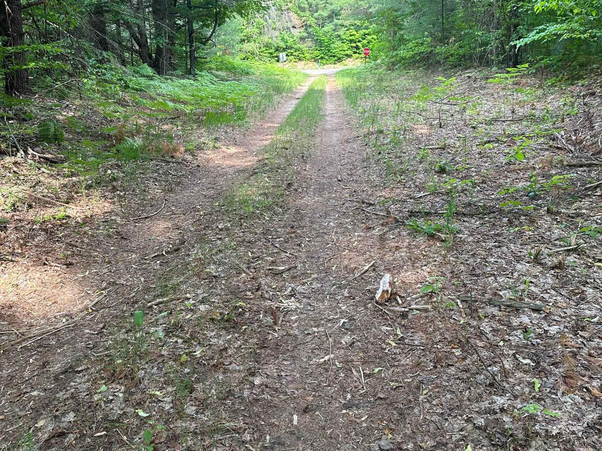 Wallin Part 2 trail photo