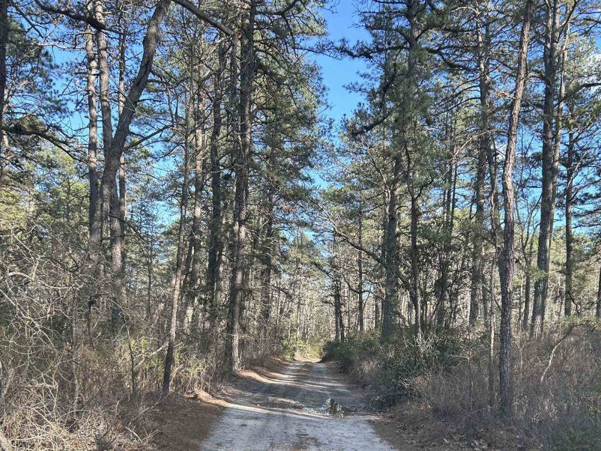 Battie Trail trail photo