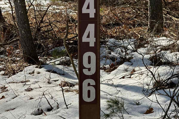 FS 4496