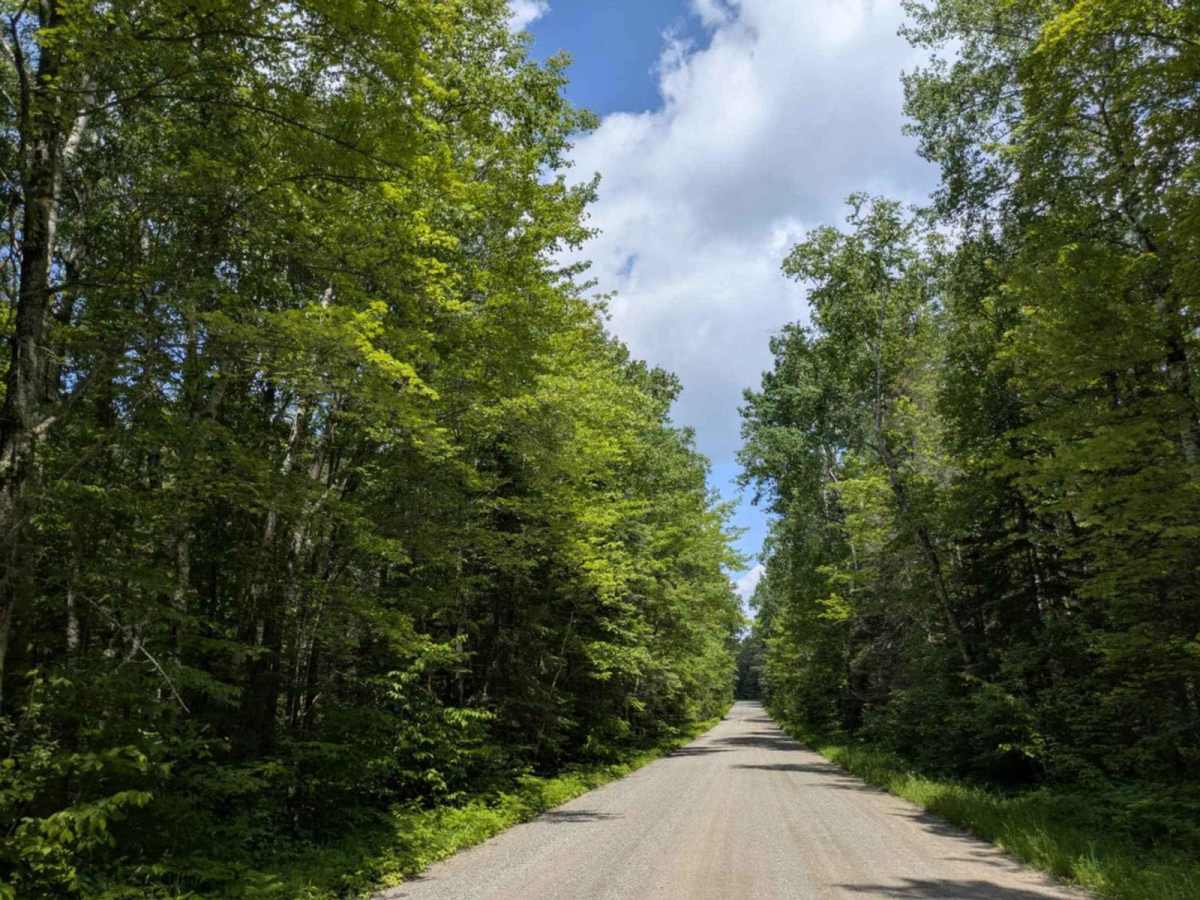 FS 2181 trail photo