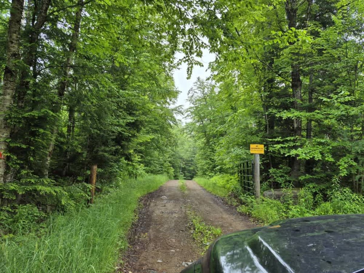 Fly Creek Road trail photo