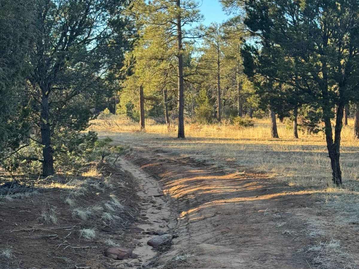 Cattle Run Pass photo 6