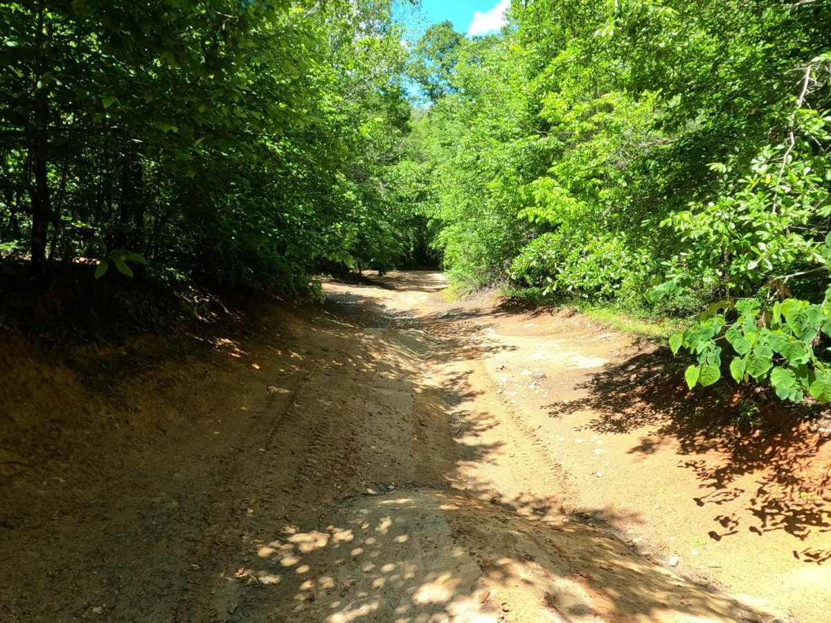 Arrowhead Alley trail photo