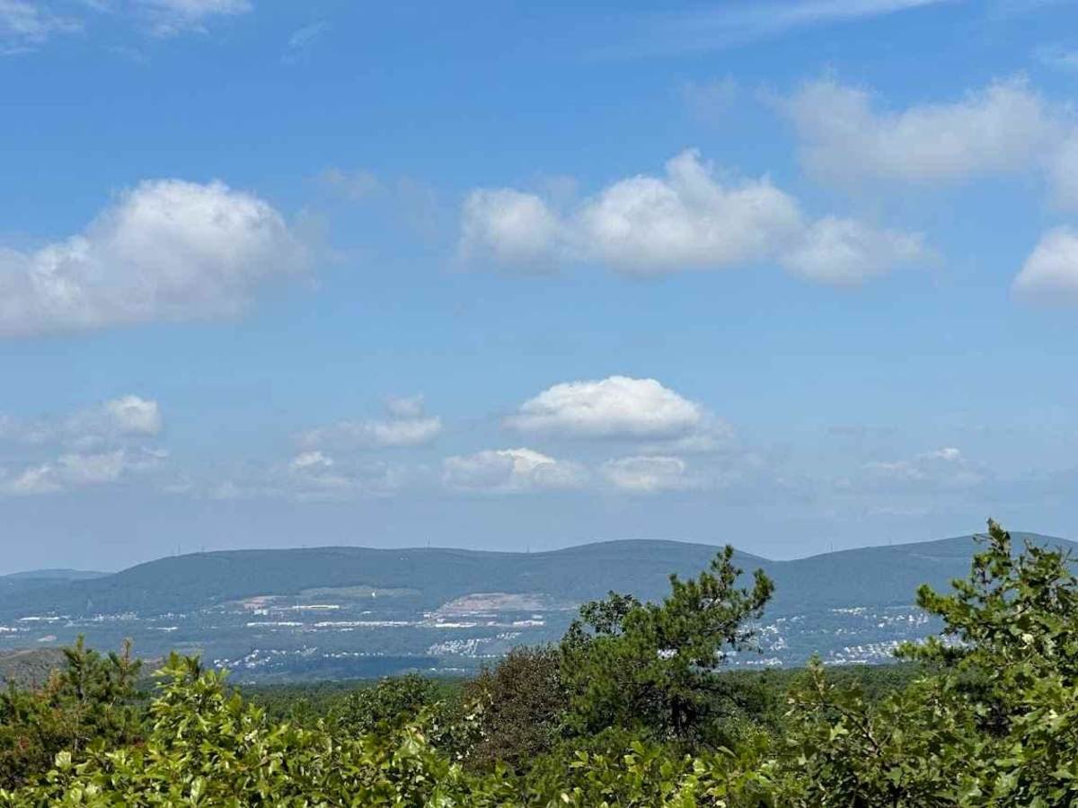 City View Blue photo 6