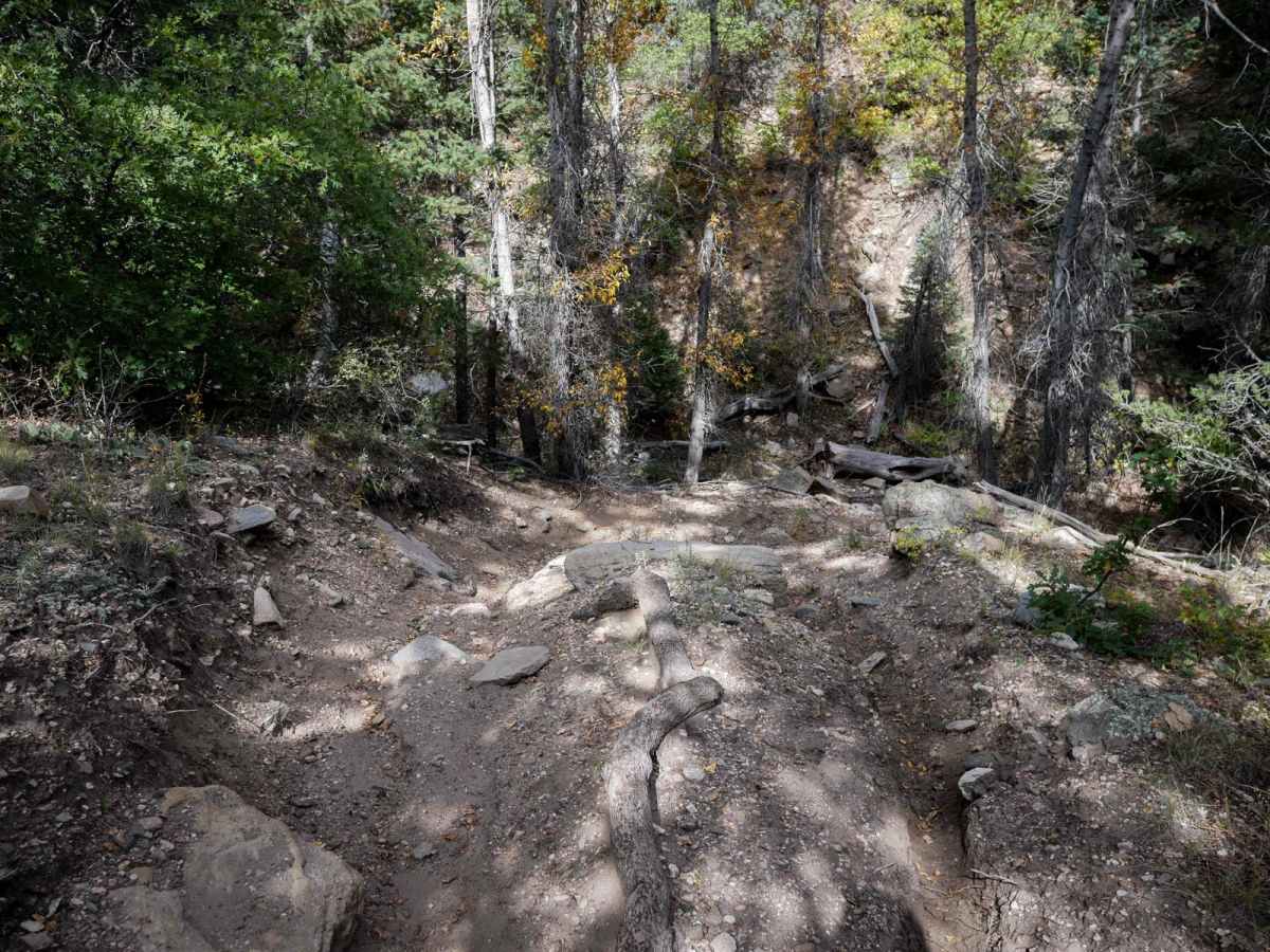 Bull Gulch Single Track - 6062 photo 5