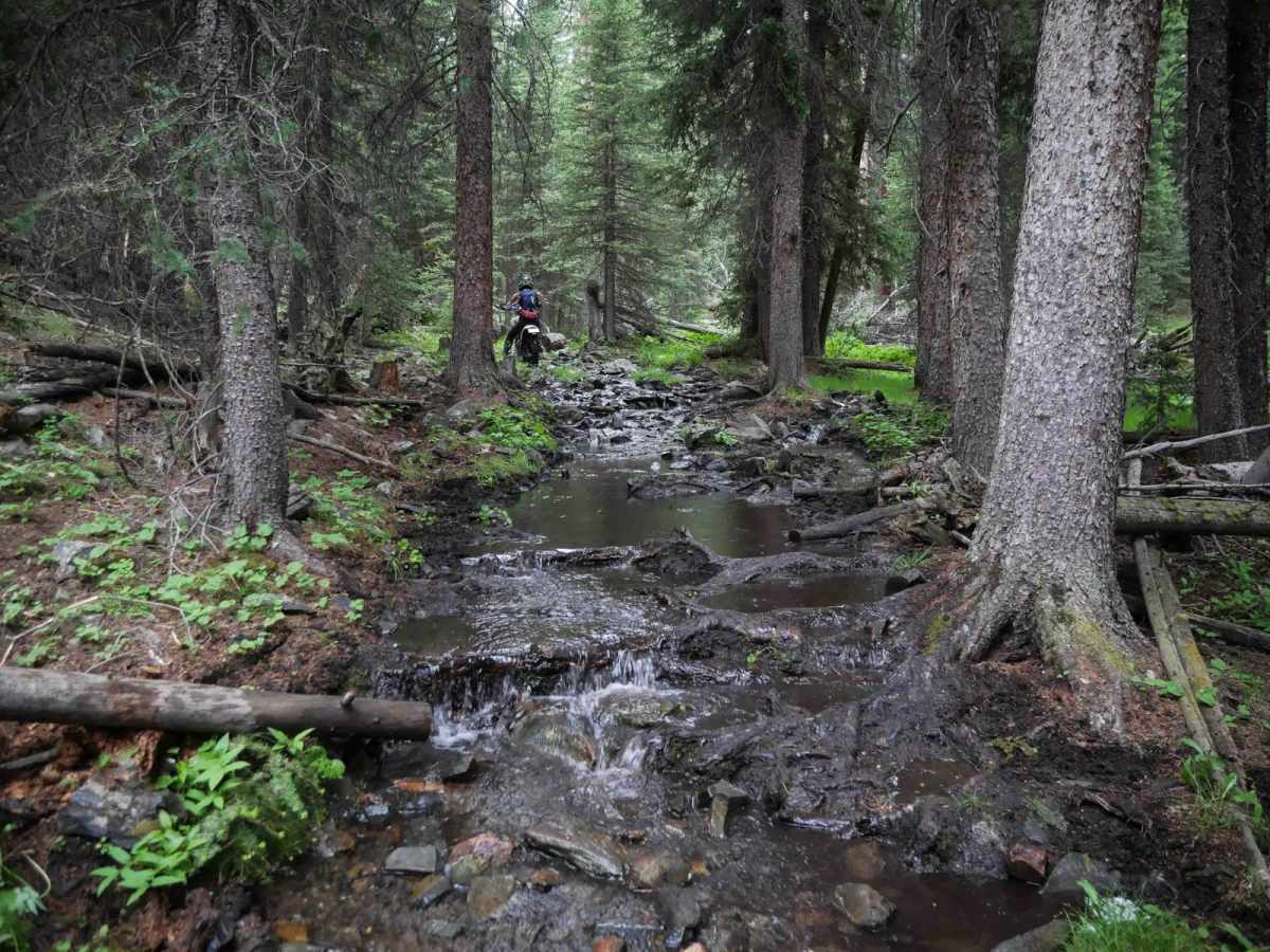 Trail Creek trail photo