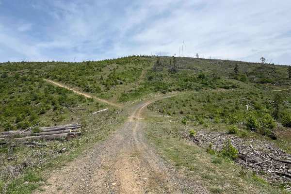 National Forrest Development Road 3308