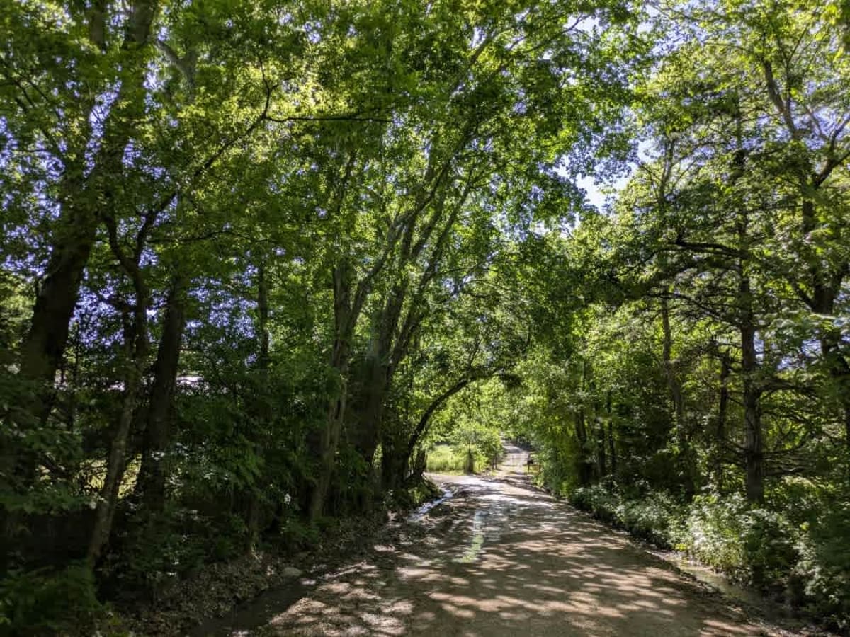 South 490 photo 2
