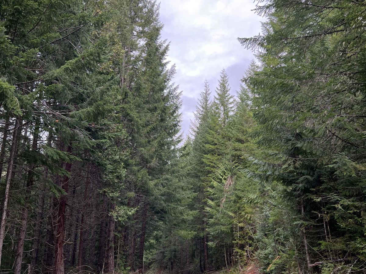 Deception Butte photo 4