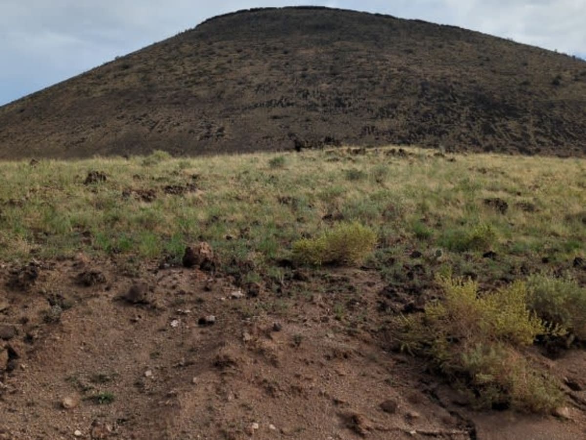 Tub Ranch Road to FS 417 photo 6