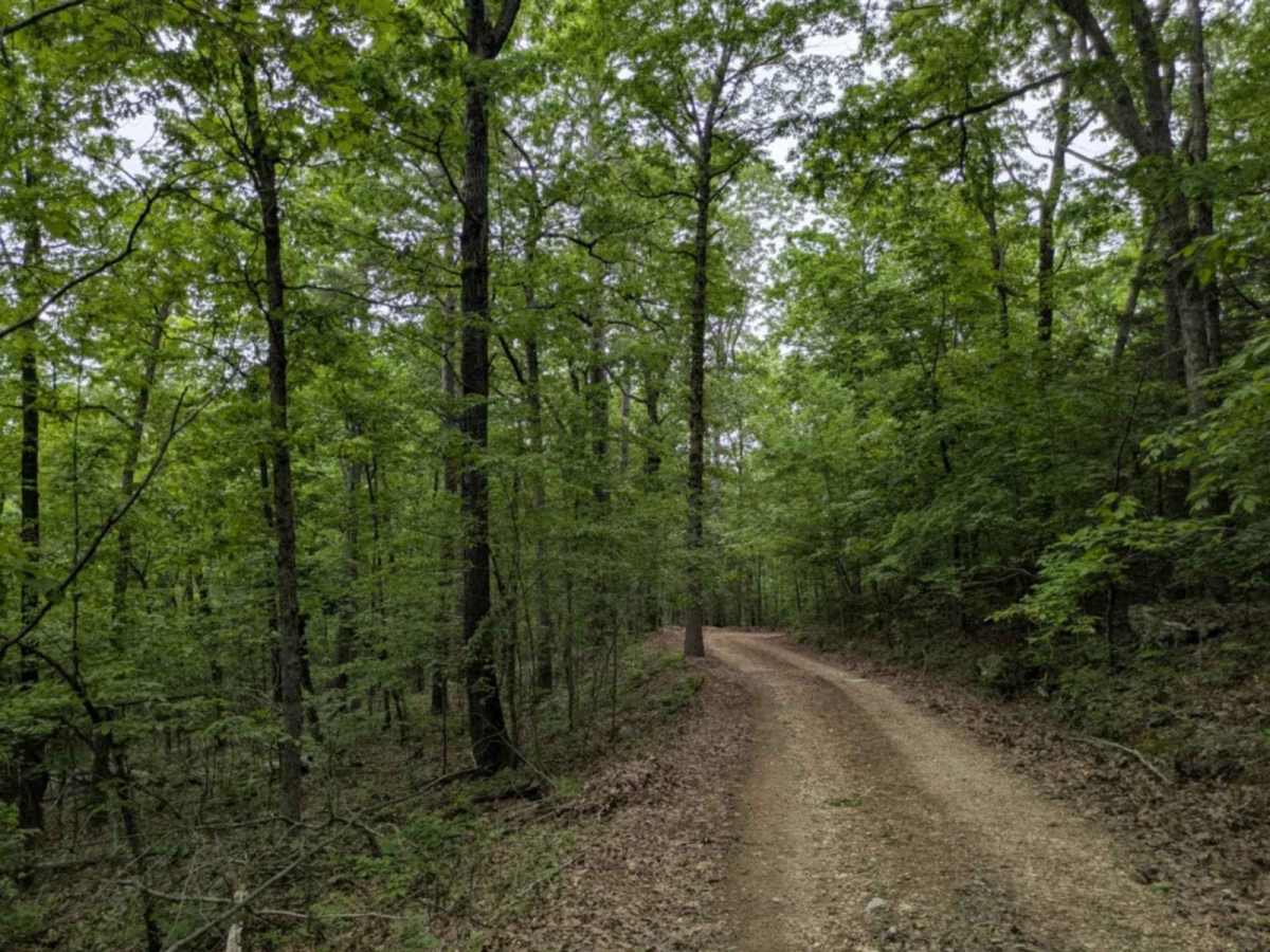 Hayden Road photo 3