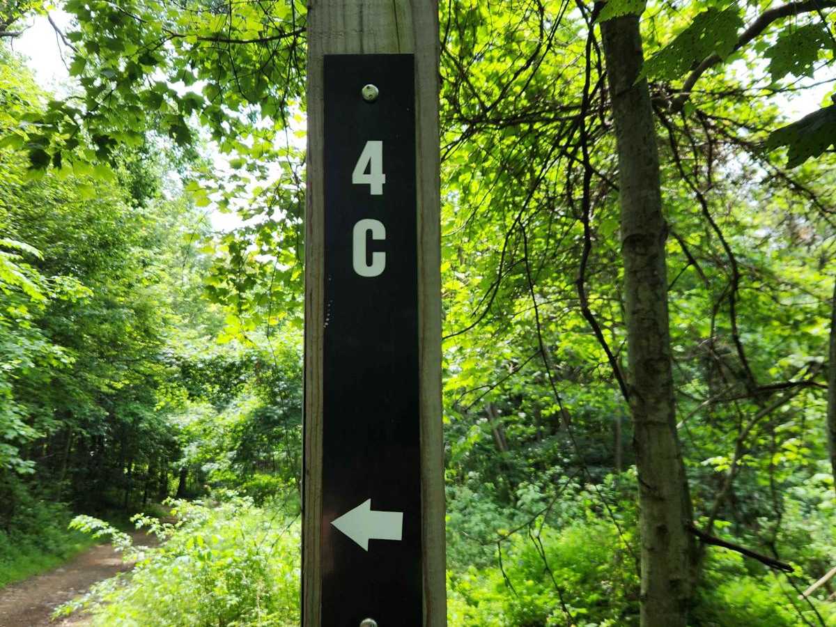 Trail 4C - Rock Run Recreation Area trail photo