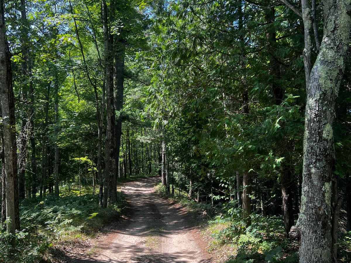 River Camp Loop Trail photo 4