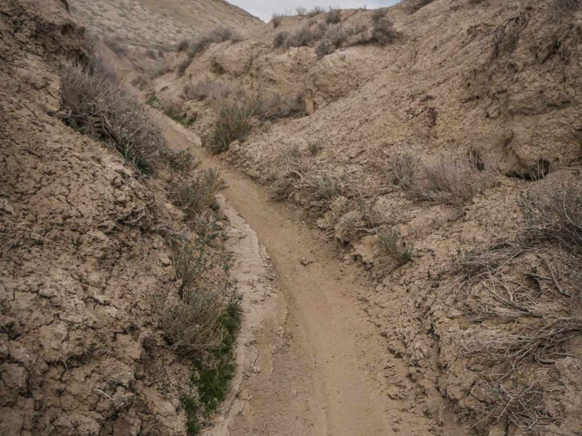 Tight Brush photo 4