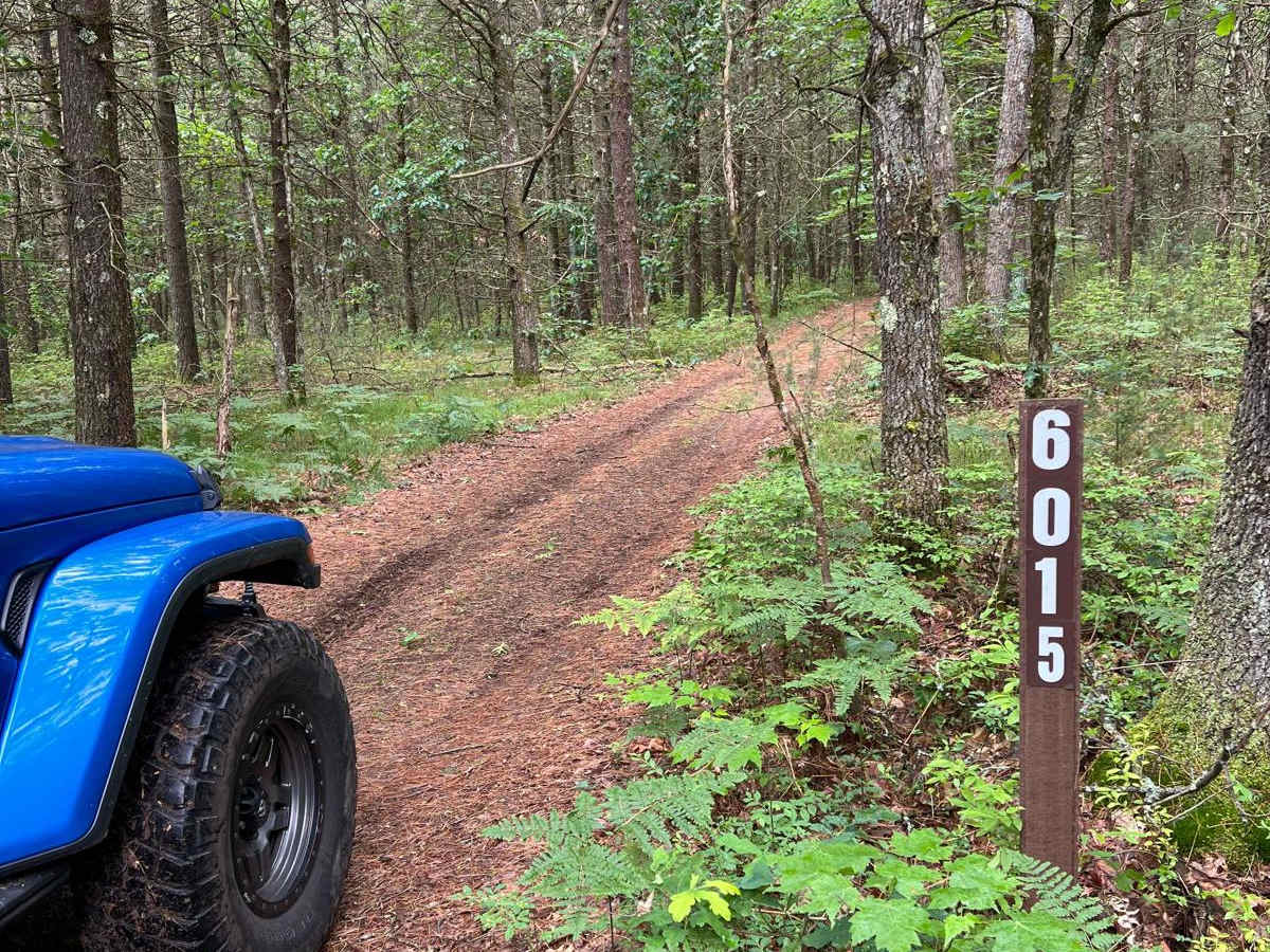 NFS 6014/6015 Loop trail photo