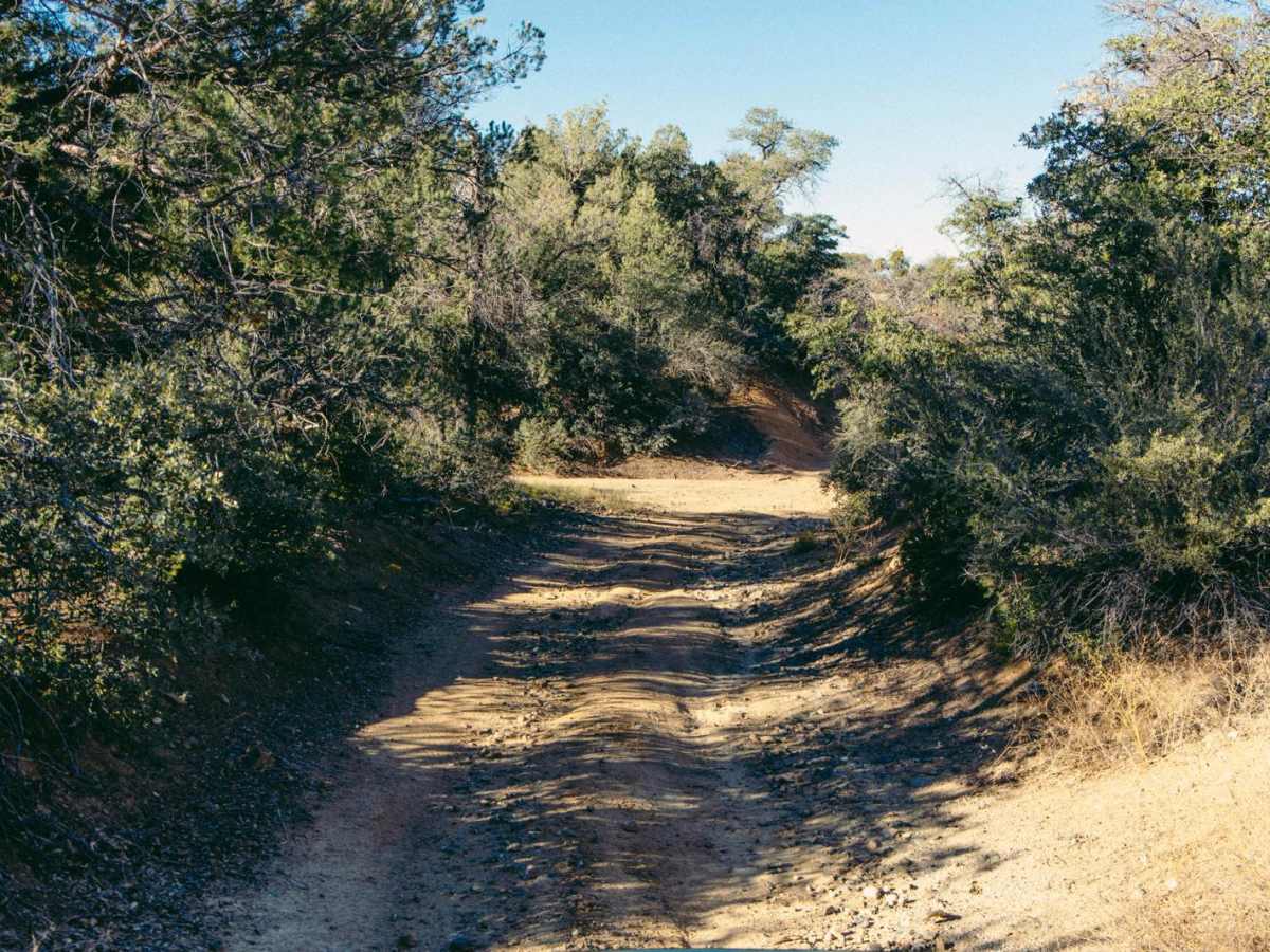 Gabrina Hill Road photo 5