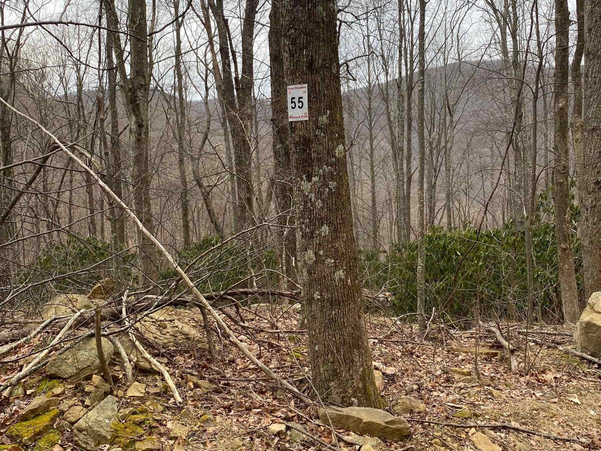 Trail 55 Windrock trail photo