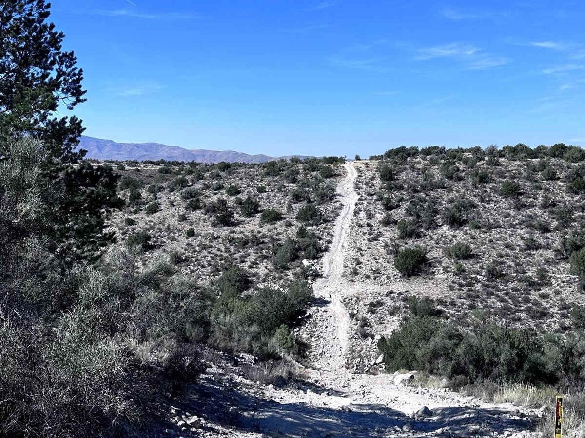 Skeleton Bones Trail trail photo