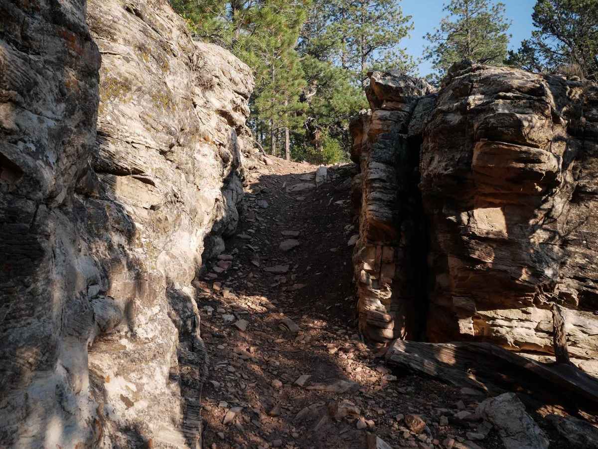 Goshorn trail photo