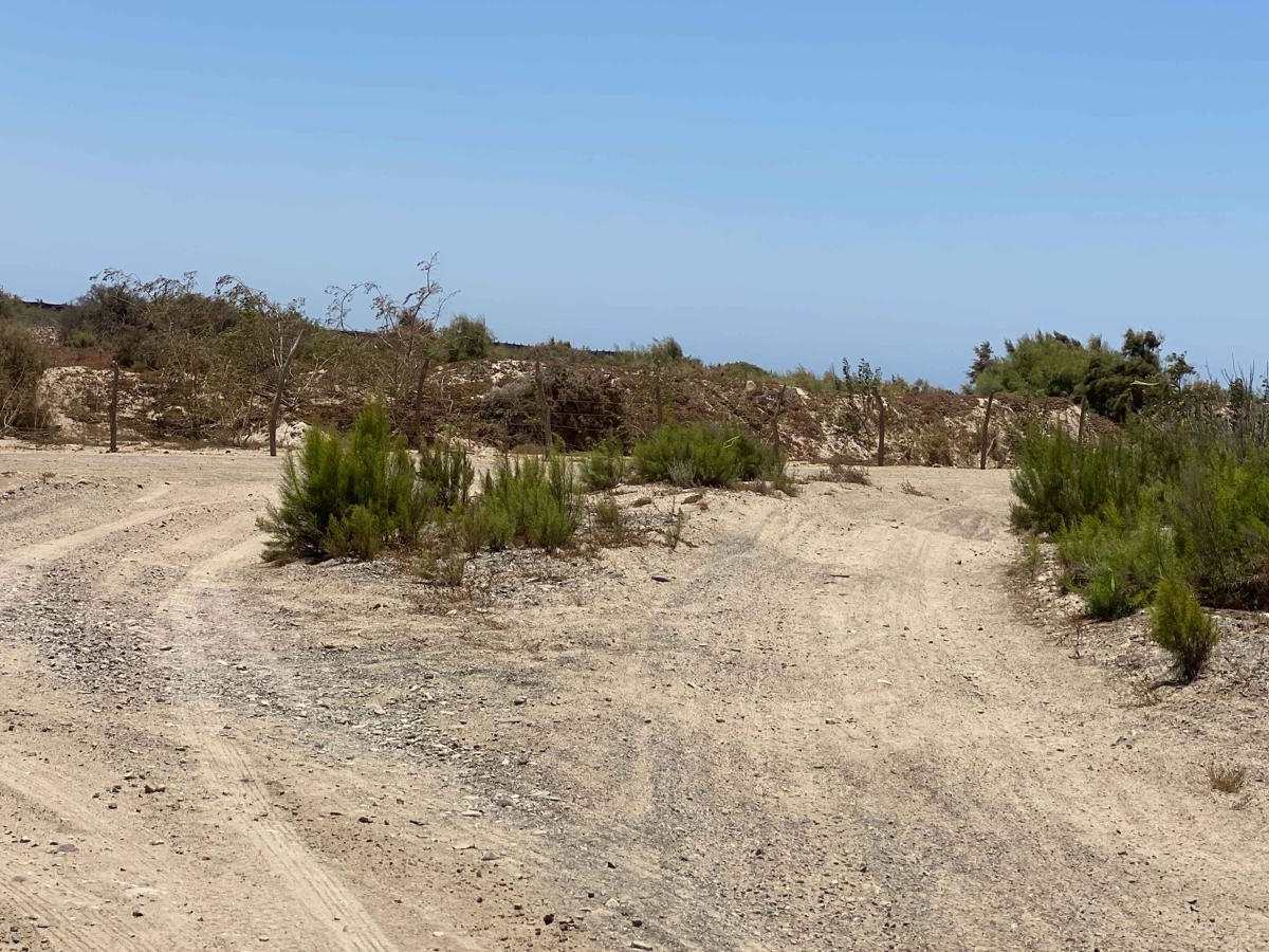 Playa San Ramon & Laguna Figueroa photo 6