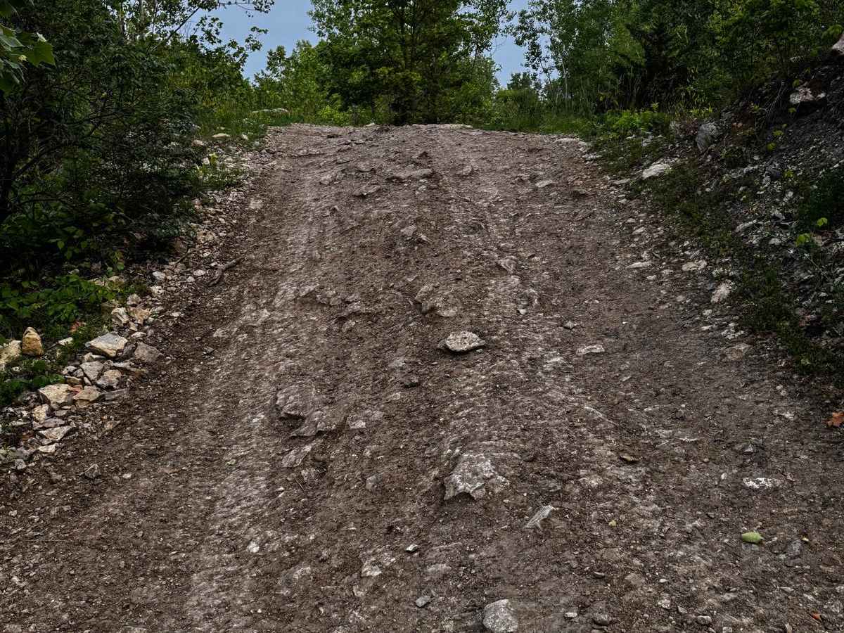 Green 42 trail photo