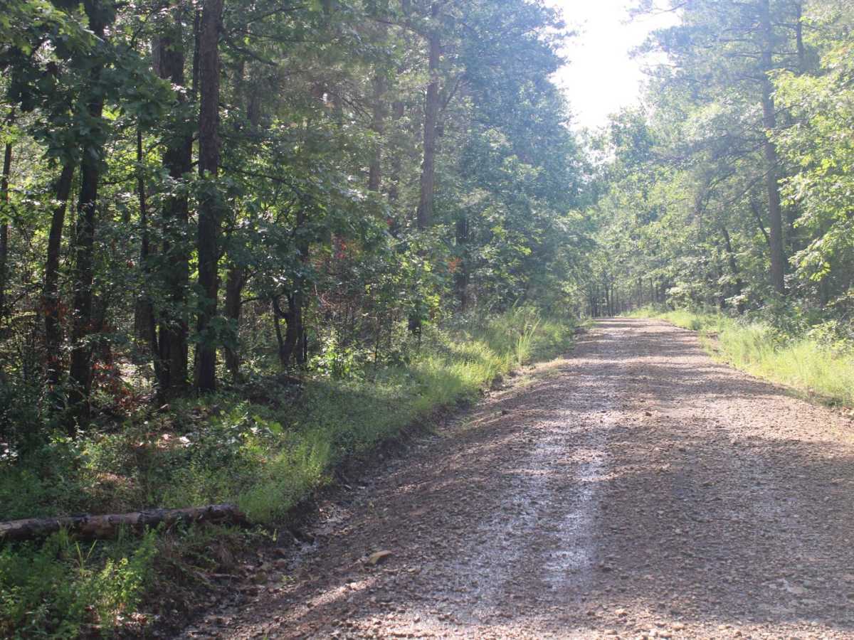 Girard Road to Sugar Creek Multi Use Trails photo 4